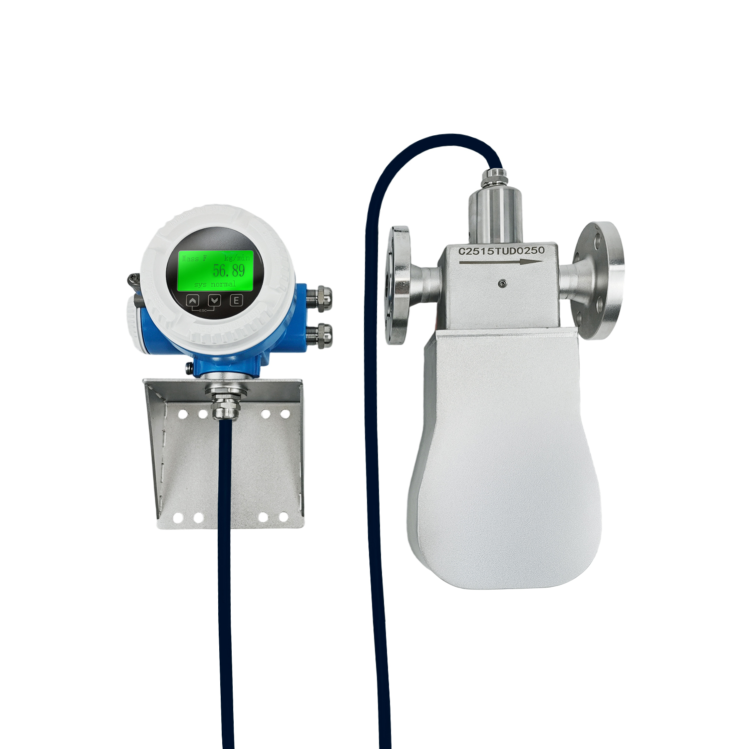  Coriolis Mass Flowmeter